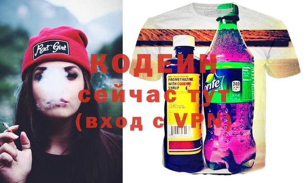 хмурый Алексеевка